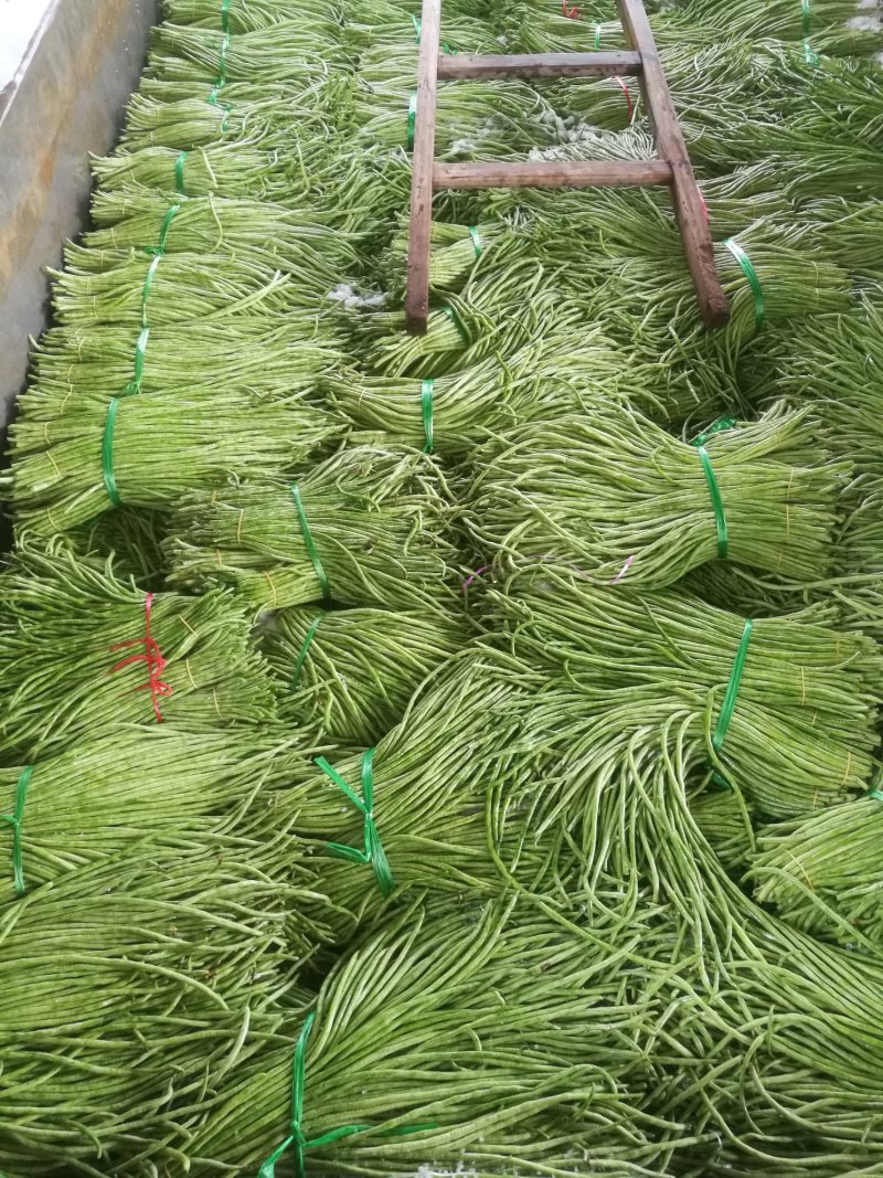 酸豆角50一70厘米，质优价廉。