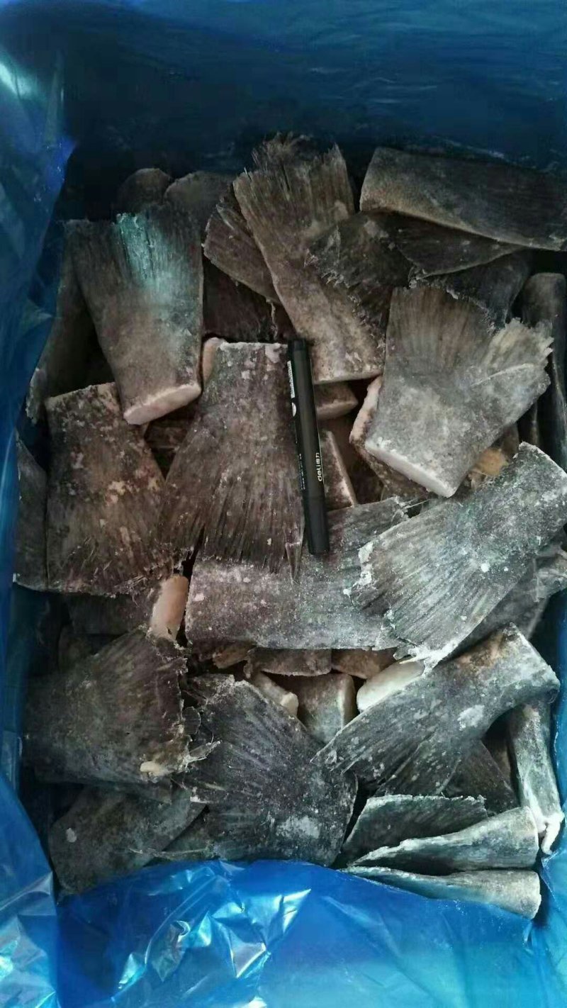 鲽鱼尾，格陵兰，全规格，，