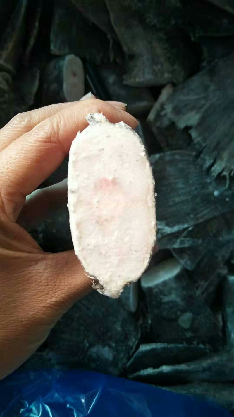 鲽鱼尾，格陵兰，全规格，，