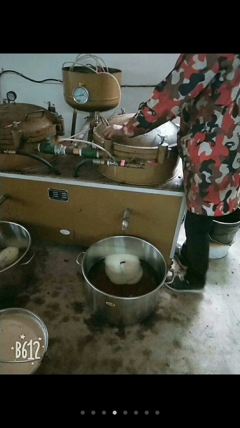 山茶油