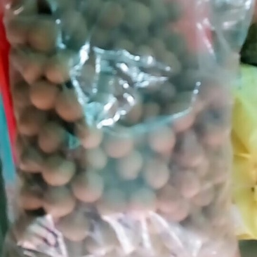 桂圆