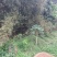 田地