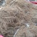 猕猴桃苗实生苗基地直供无根瘤病量大从优