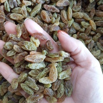 葡萄干无核一级新疆葡萄干量大从优商超直供