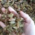 葡萄干无核一级新疆葡萄干量大从优商超直供