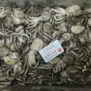 八爪鱼原浆八爪鱼不泡水八爪鱼原料八爪鱼八爪