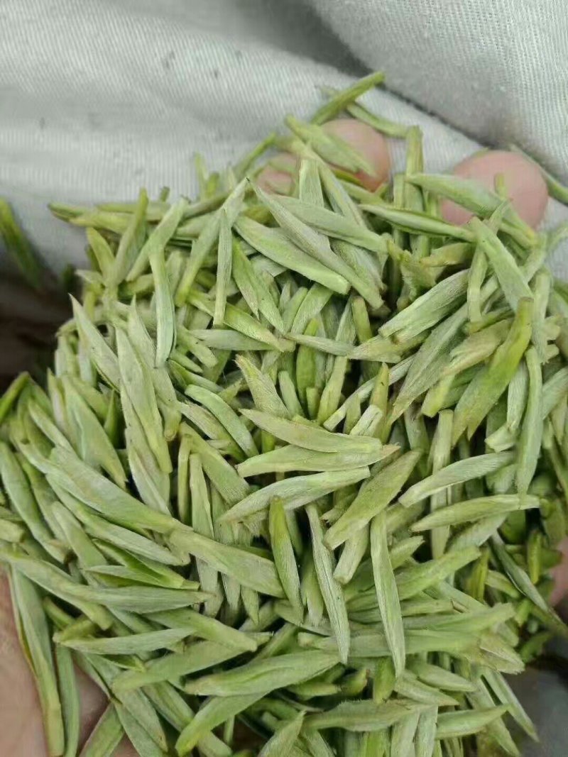 峨眉山极品绿茶