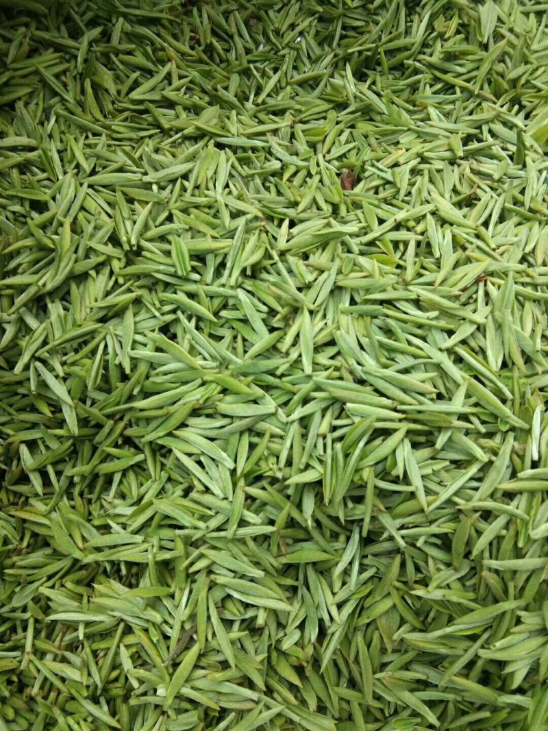 峨眉山极品绿茶