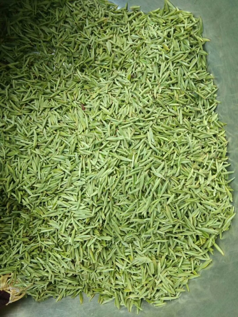 峨眉山极品绿茶