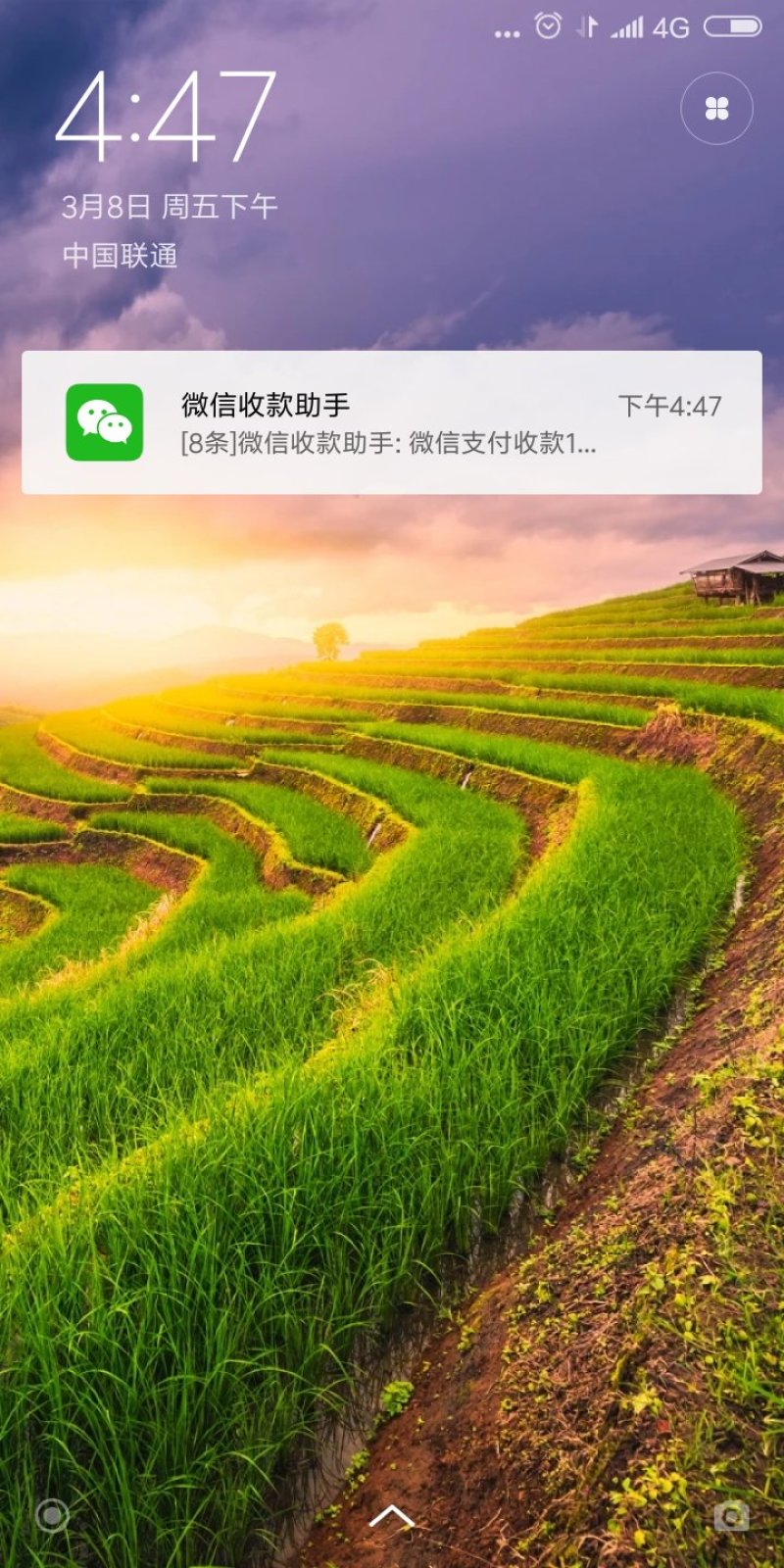 核桃树