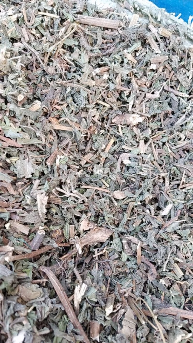 旱莲草，无杂质，无草，