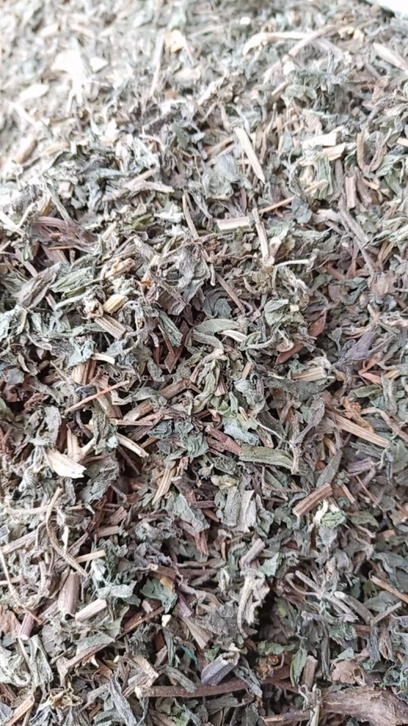 旱莲草，无杂质，无草，
