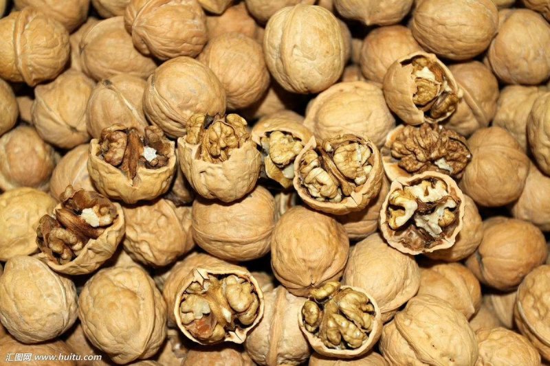 阿克苏185核桃新2核桃