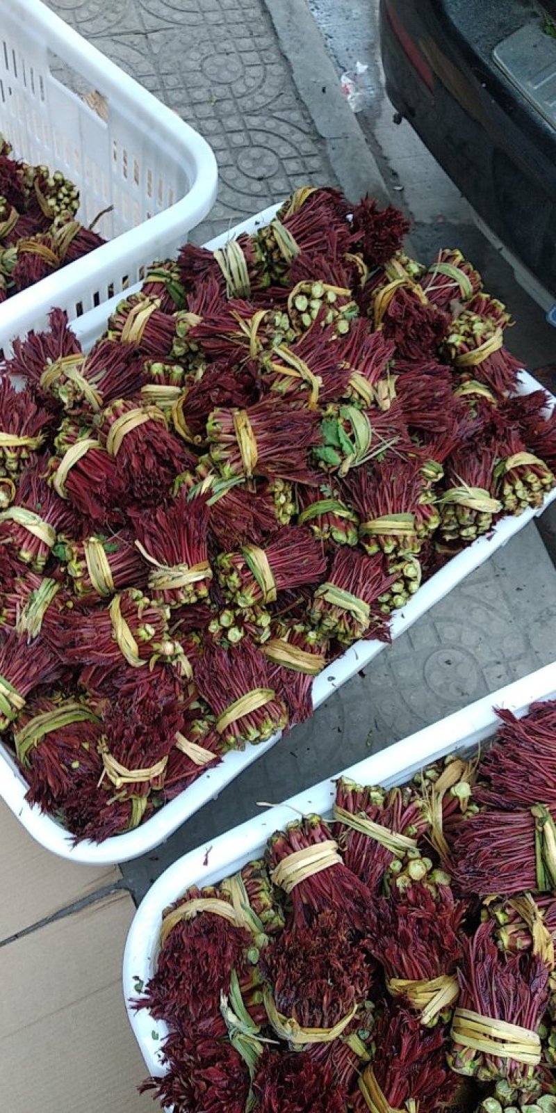 大竹红香椿芽，现摘现售，价格从优保质保量诚信第一