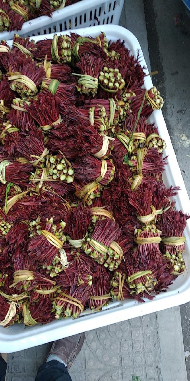 大竹红香椿芽，现摘现售，价格从优保质保量诚信第一