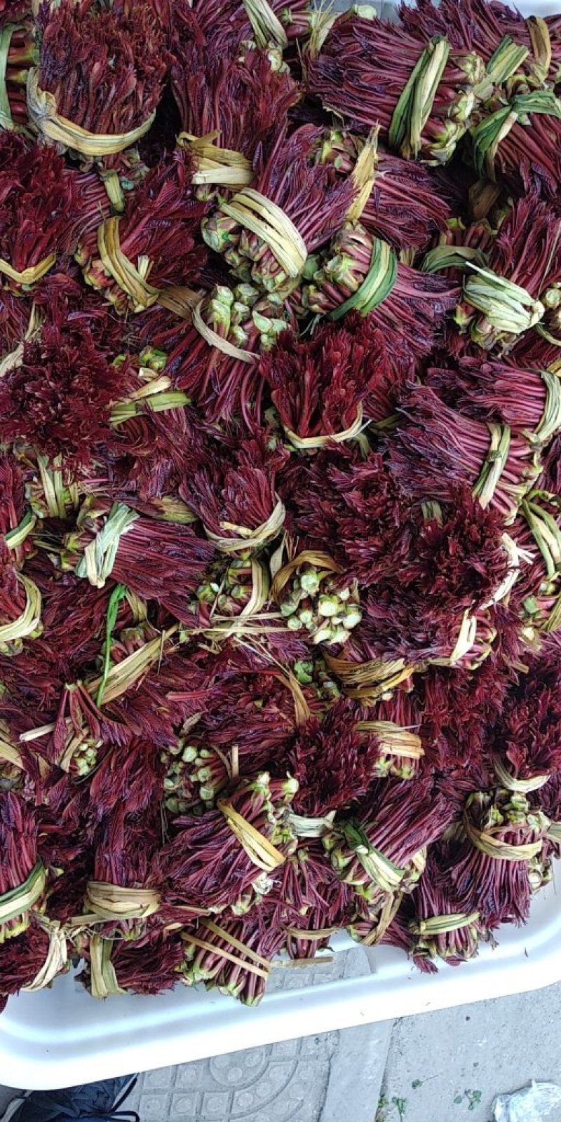 大竹红香椿芽，现摘现售，价格从优保质保量诚信第一
