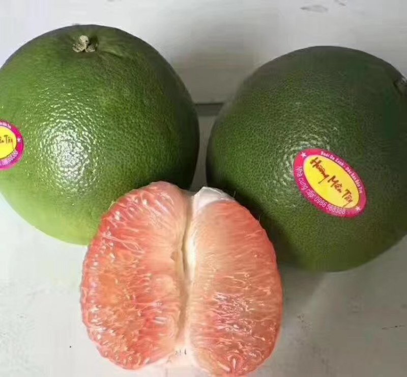 泰国青皮红心柚、双季开花结果