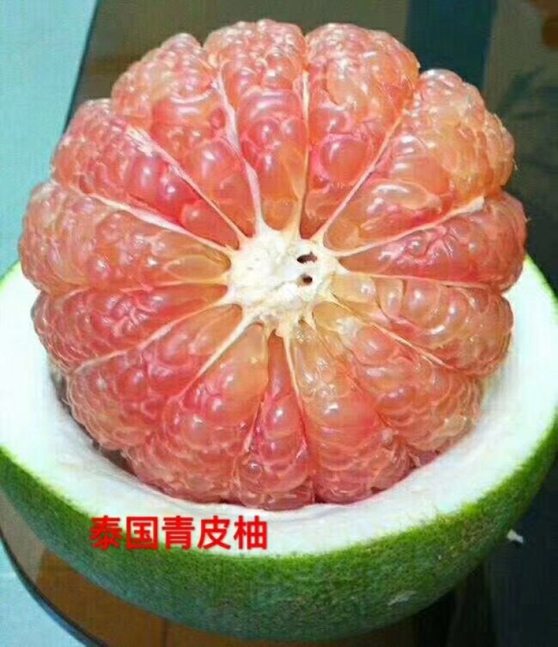 泰国青皮红心柚、双季开花结果