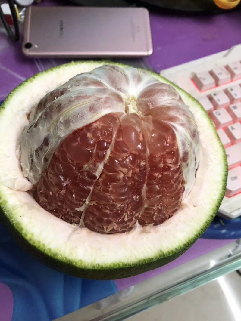 泰国青皮红心柚、双季开花结果