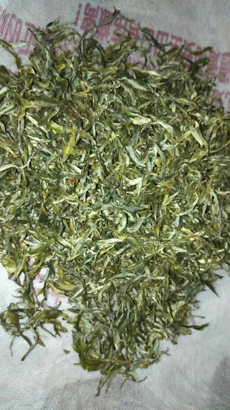 山绿茶野生茶叶牙包生茶