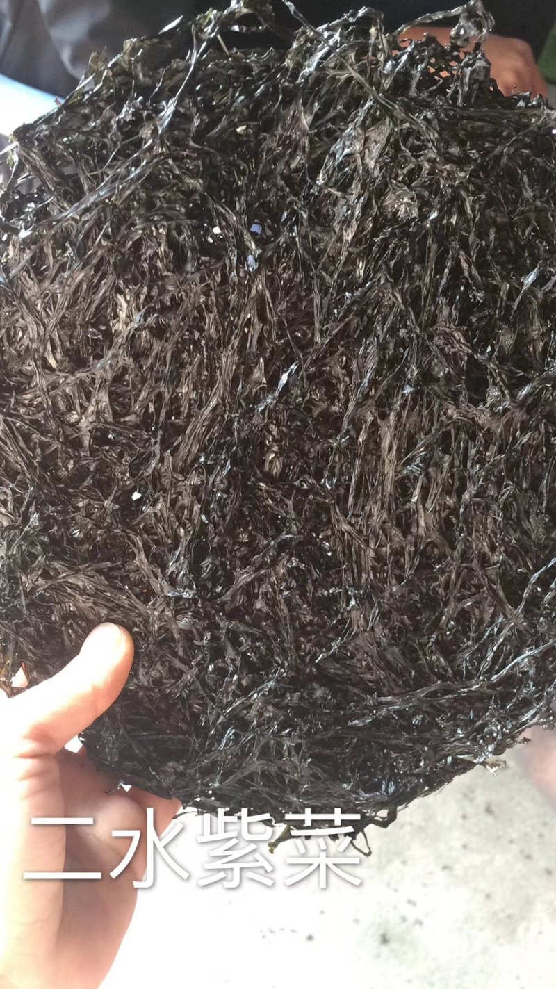 六鳌二水头紫菜