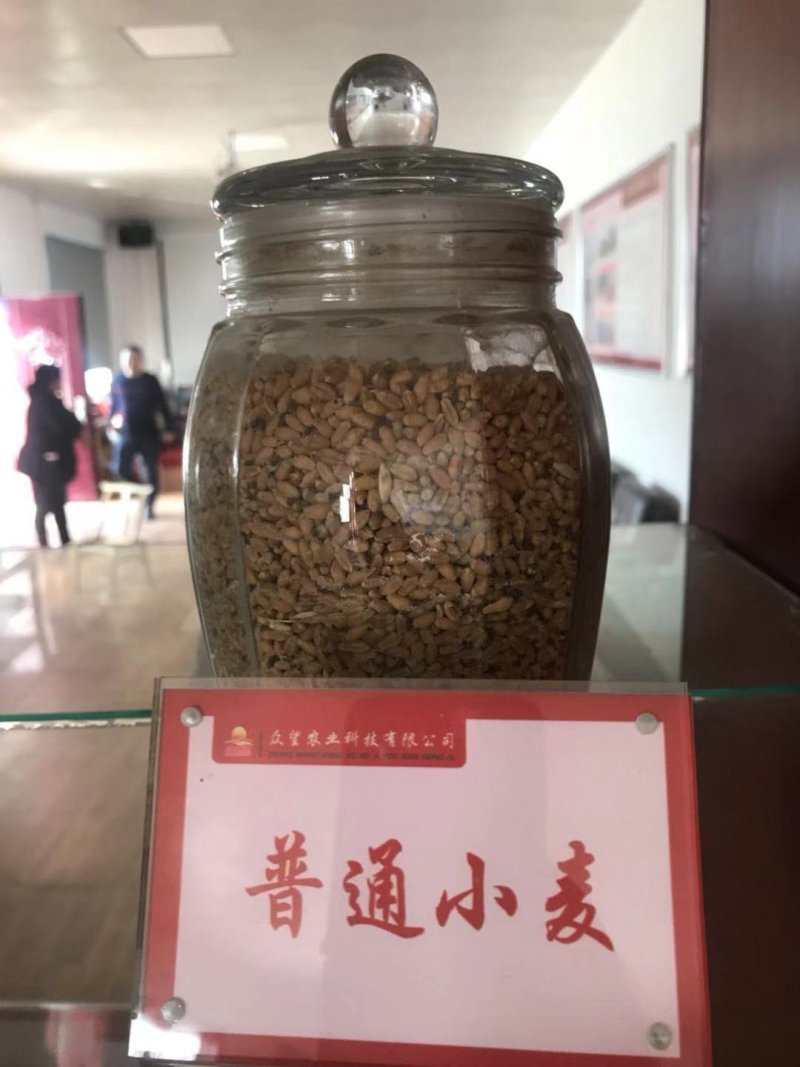 石磨面，石磨杂粮`石磨玉米粉，菊花