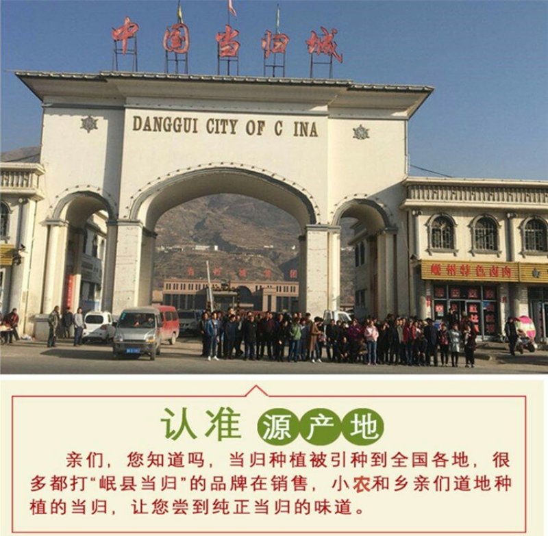 甘肃岷县无硫新货大当归，产地发货，精选特大条，量大优惠，