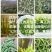 2019信阳毛尖已上市，高档明前茶，茶农自产自欢迎围观！