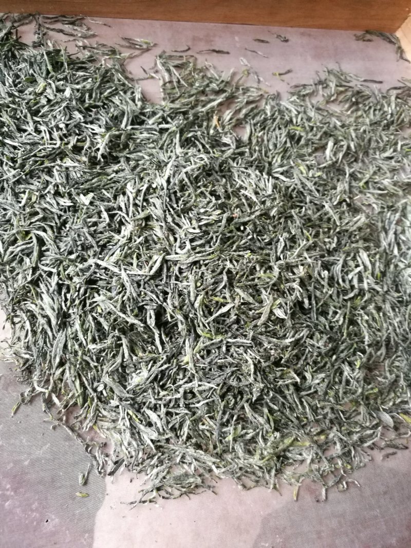 2019信阳毛尖已上市，高档明前茶，茶农自产自欢迎围观！