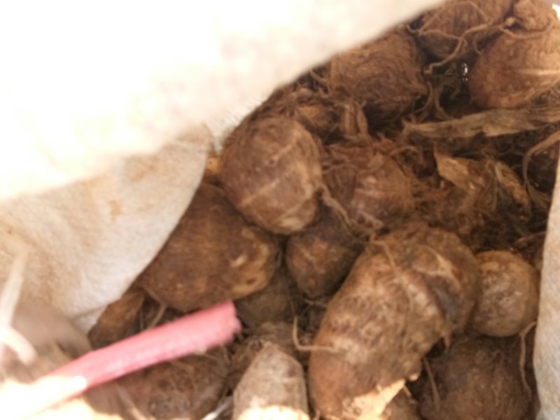 8520，大中小求都有，