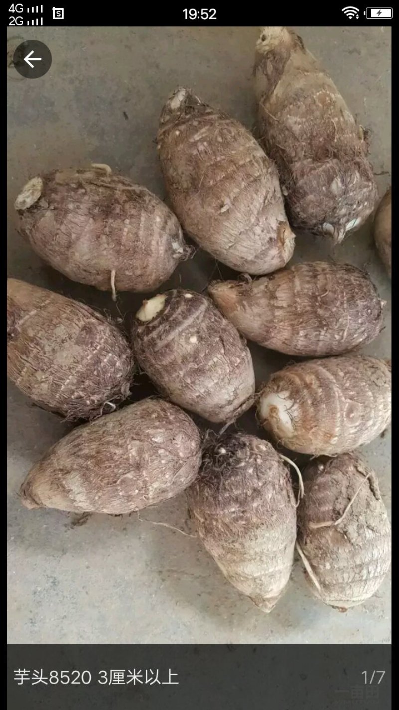 8520，大中小求都有，
