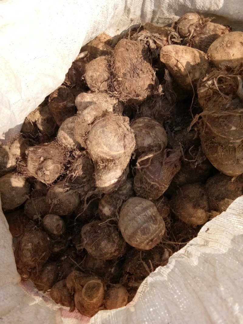 8520，大中小求都有，
