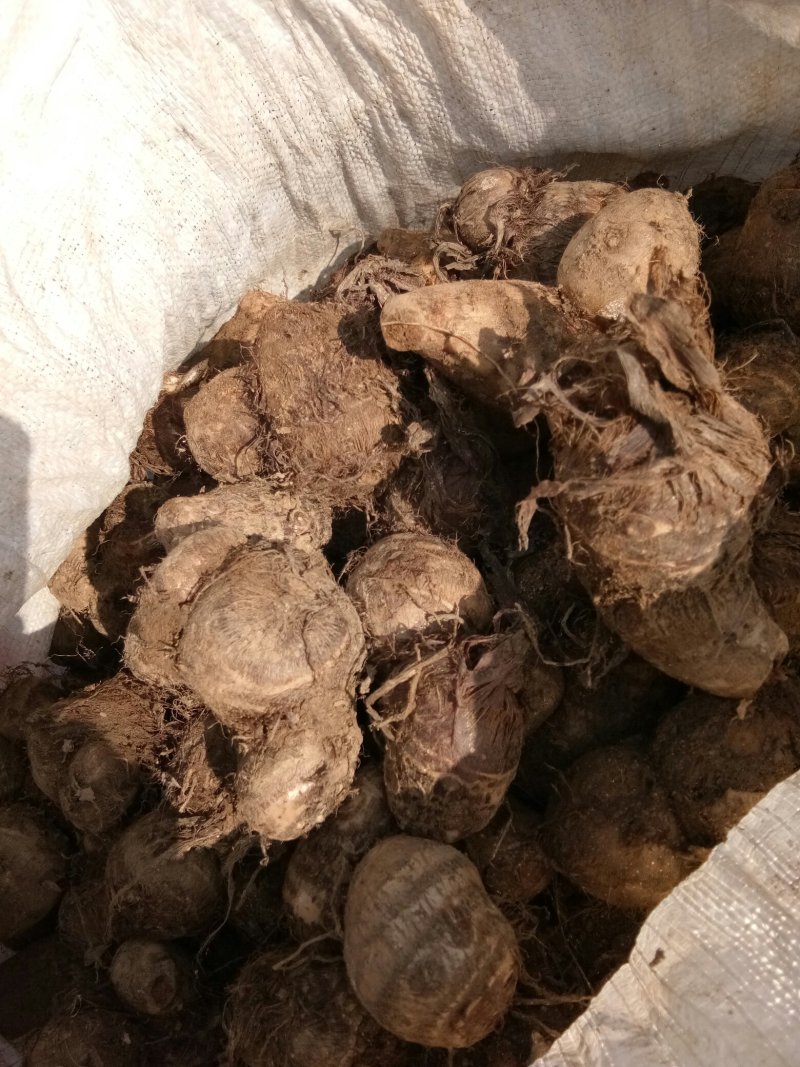 8520，大中小求都有，