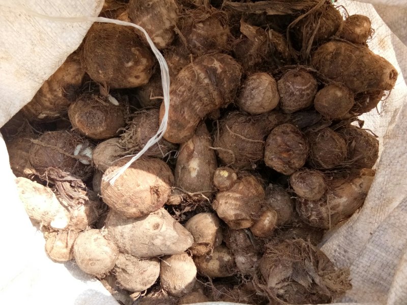 8520，大中小求都有，