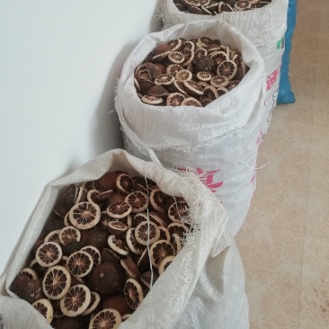 产自于江西省樟树市的本地品种枳壳，才是中国传统的清江枳壳