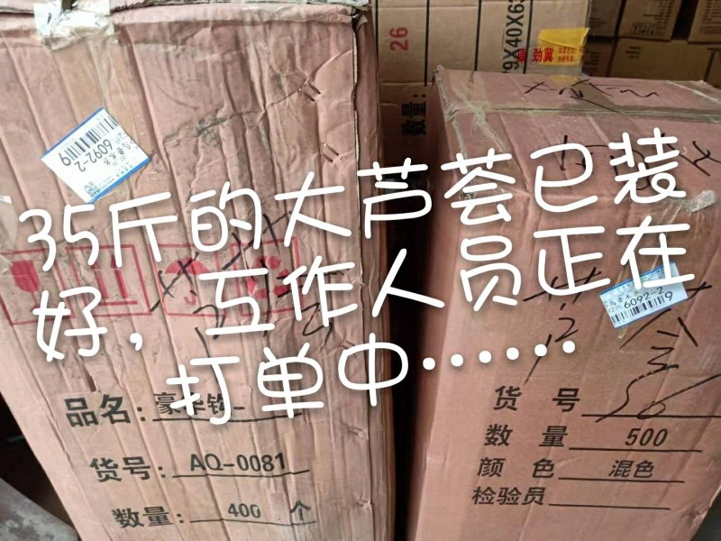 周口市川汇区慧美芦荟批发中心