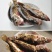 贵州野生桂花鱼