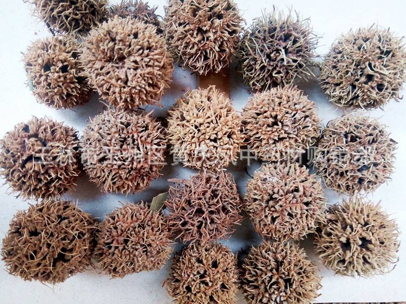 广西野生枫香果，枫树果，枫球，路路通