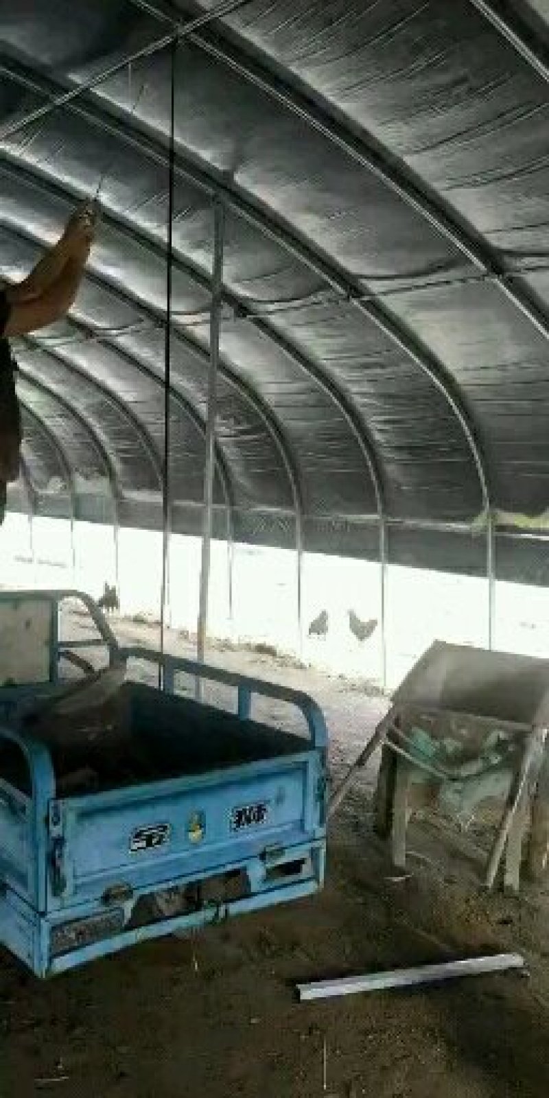 厂家定制养殖大棚，带保温被，自动卷帘机，包安装全国包邮