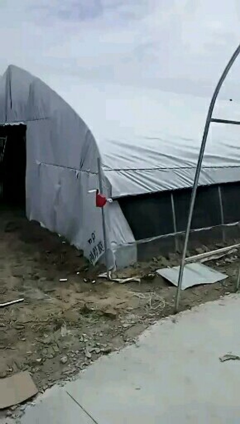 厂家定制养殖大棚，带保温被，自动卷帘机，包安装全国包邮