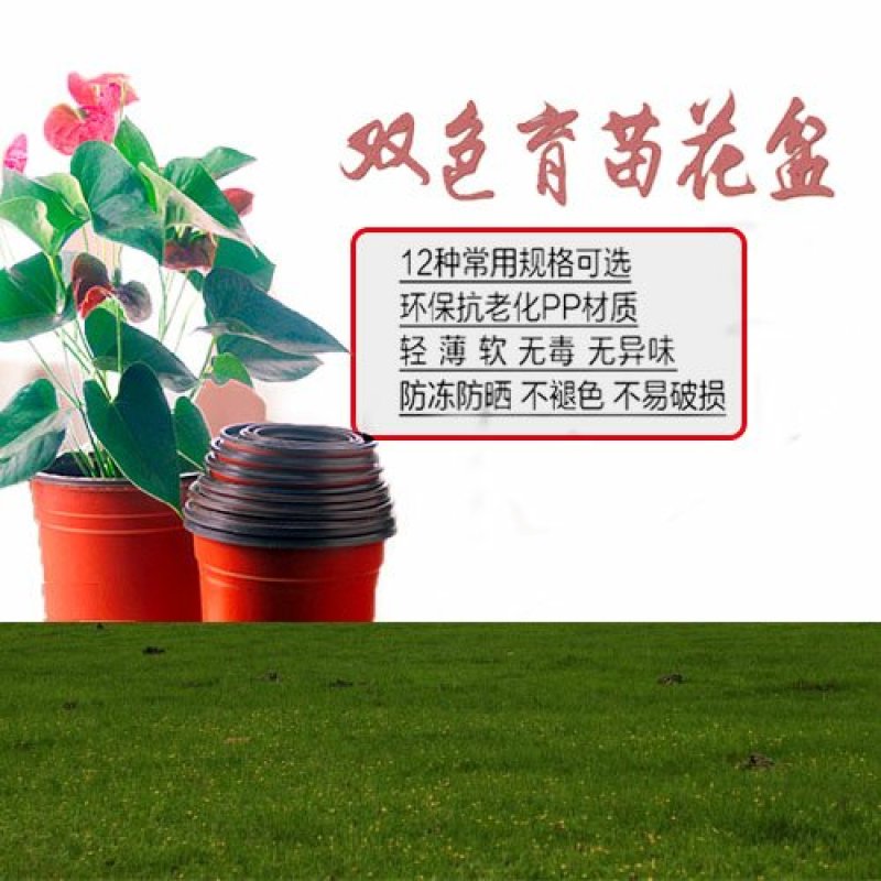 特大号一次性盆栽双色塑料花盆营养钵培育苗盆菊花加厚软花盆