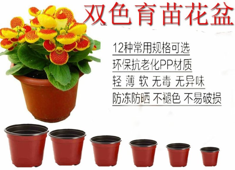特大号一次性盆栽双色塑料花盆营养钵培育苗盆菊花加厚软花盆