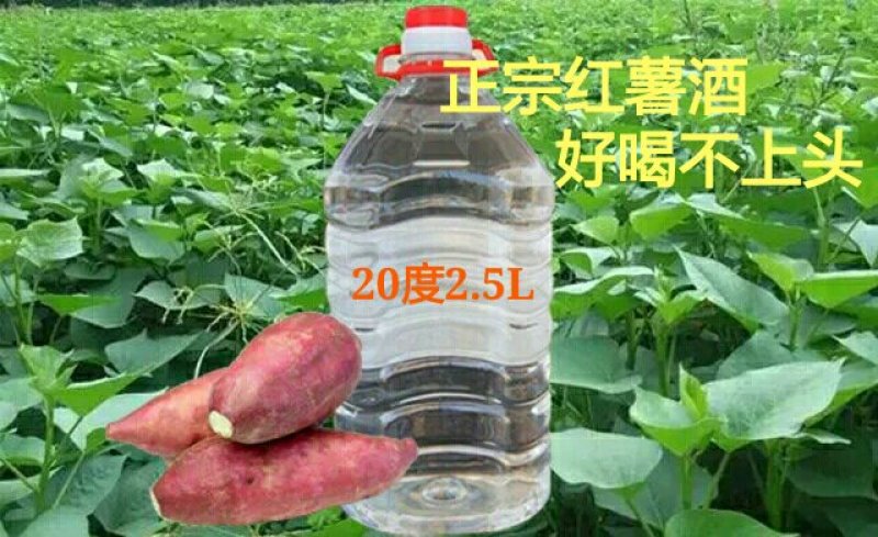 农家自酿红薯酒养生保健酒无添加