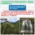 长白山灵芝孢子粉产地直发一件代发包邮