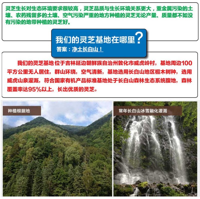 长白山灵芝孢子粉产地直发一件代发包邮