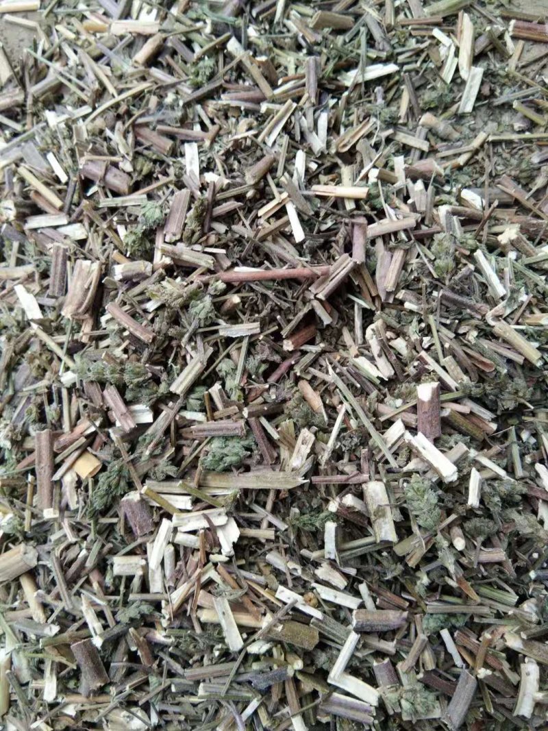 荆芥全草一手货源批发价格便宜