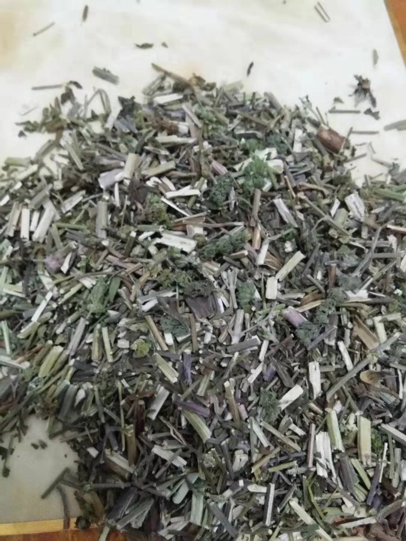 荆芥全草一手货源批发价格便宜