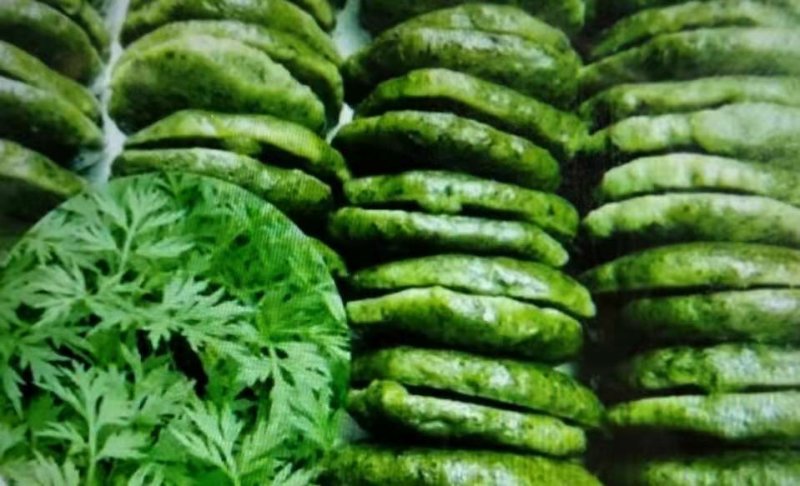 大叶艾草种子