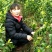 三华李树苗40~50cm