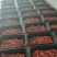 大虾蛄，可做成辣炒虾尾，大量有货